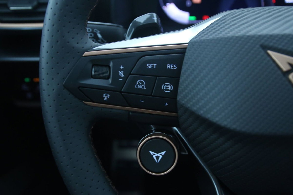 Cupra Formentor Formentor 1.5 TSI (18)
