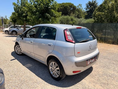 Fiat Punto Evo 1.2 5 porte S&S Active (3)