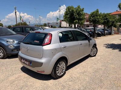 Fiat Punto Evo 1.2 5 porte S&S Active (4)