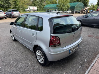 Volkswagen Polo 1.6 5 porte Comfortline BiFuel (6)