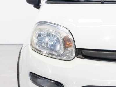 Fiat Panda 1.3 MJT 16V DPF 4x4 Climbing (6)