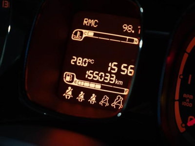 Fiat Panda 1.3 MJT 16V DPF 4x4 Climbing (8)
