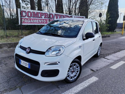 Fiat Panda 1.2 EasyPower Easy usata