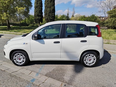 Fiat Panda 1.2 EasyPower Easy (2)