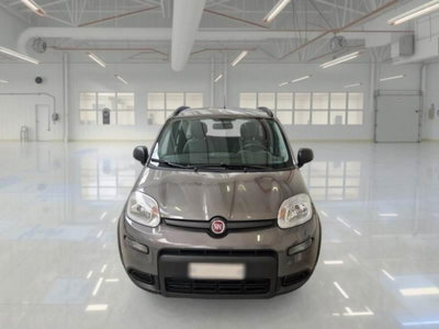 Fiat Panda 1.0 FireFly S&S Hybrid City Cross (2)