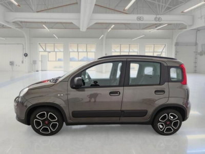 Fiat Panda 1.0 FireFly S&S Hybrid City Cross (3)