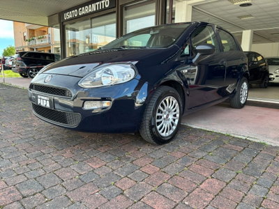 Fiat Punto 1.2 8V 5 porte Street (14)