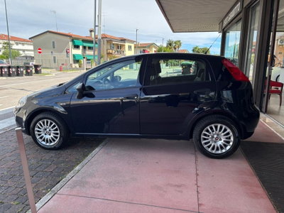Fiat Punto 1.2 8V 5 porte Street (16)