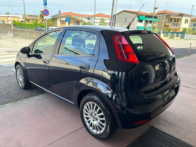 Fiat Punto 1.2 8V 5 porte Street (3)