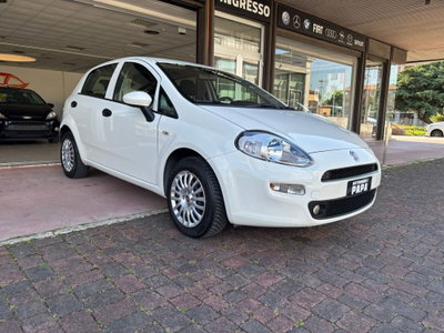Fiat Punto 1.2 8V 5 porte Street (17)