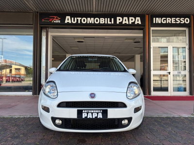 Fiat Punto 1.2 8V 5 porte Street (18)