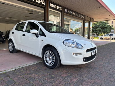 Fiat Punto 1.2 8V 5 porte Street (2)