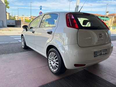 Fiat Punto 1.2 8V 5 porte Street (3)