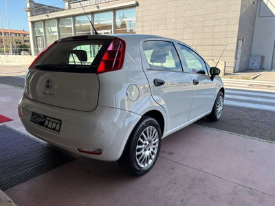 Fiat Punto 1.2 8V 5 porte Street (4)