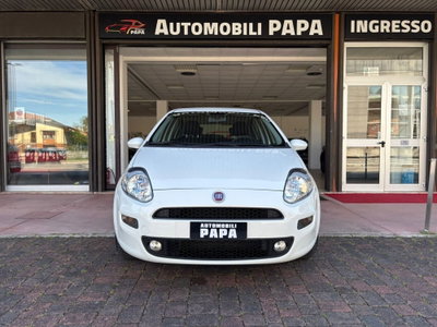 Fiat Punto 1.2 8V 5 porte Street (5)
