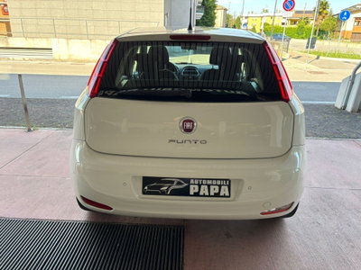 Fiat Punto 1.2 8V 5 porte Street (6)