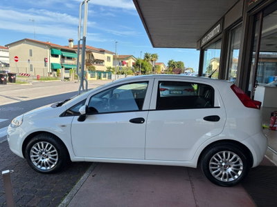 Fiat Punto 1.2 8V 5 porte Street (7)