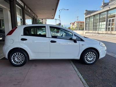 Fiat Punto 1.2 8V 5 porte Street (8)