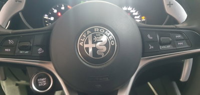 Alfa Romeo Stelvio Stelvio 2.2 Turbodiesel 210 CV AT8 Q4 Executive (8)