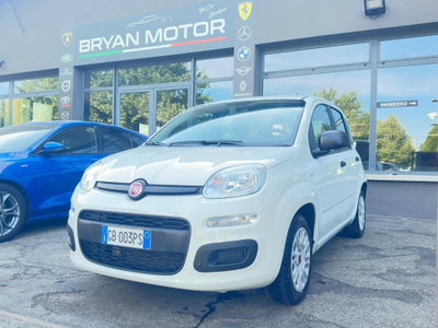 Fiat Panda 1.2 EasyPower Easy usata