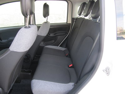 Fiat Panda Cross Cross 1.0 FireFly S&S Hybrid (10)