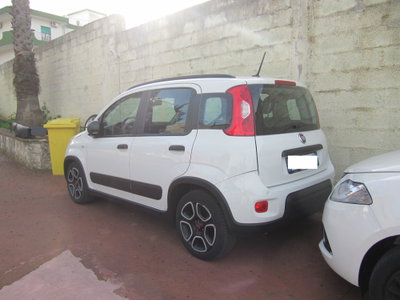 Fiat Panda Cross Cross 1.0 FireFly S&S Hybrid (2)