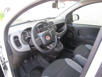 Fiat Panda Cross Cross 1.0 FireFly S&S Hybrid (4)