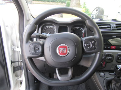 Fiat Panda Cross Cross 1.0 FireFly S&S Hybrid (5)