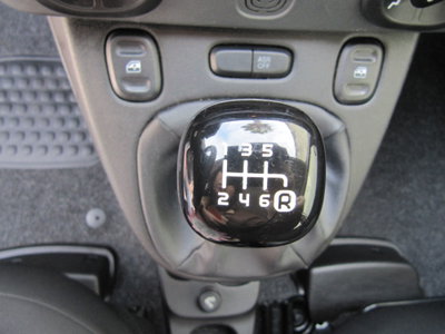 Fiat Panda Cross Cross 1.0 FireFly S&S Hybrid (6)