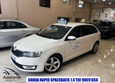 Skoda Rapid TDI CR 90 CV Ambition usata