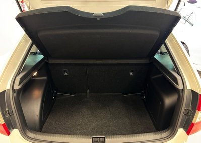 Skoda Rapid TDI CR 90 CV Ambition (10)