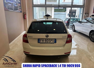 Skoda Rapid TDI CR 90 CV Ambition (5)