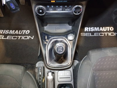 Ford Fiesta 1.1 85 CV 5 porte Titanium (14)