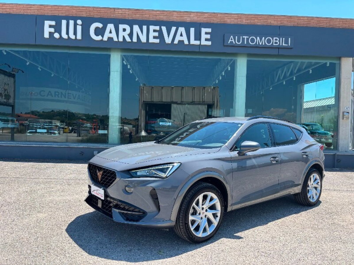 Cupra Formentor Formentor 2.0 tdi 4drive 150cv dsg