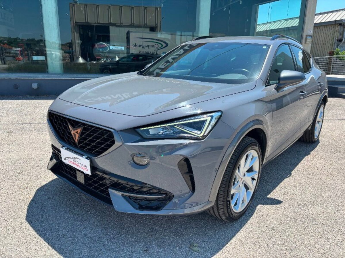 Cupra Formentor Formentor 2.0 tdi 4drive 150cv dsg (2)