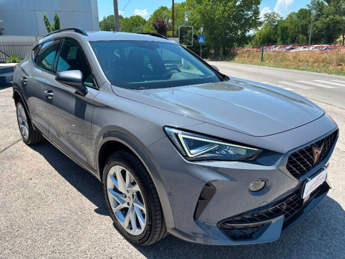 Cupra Formentor Formentor 2.0 tdi 4drive 150cv dsg (4)