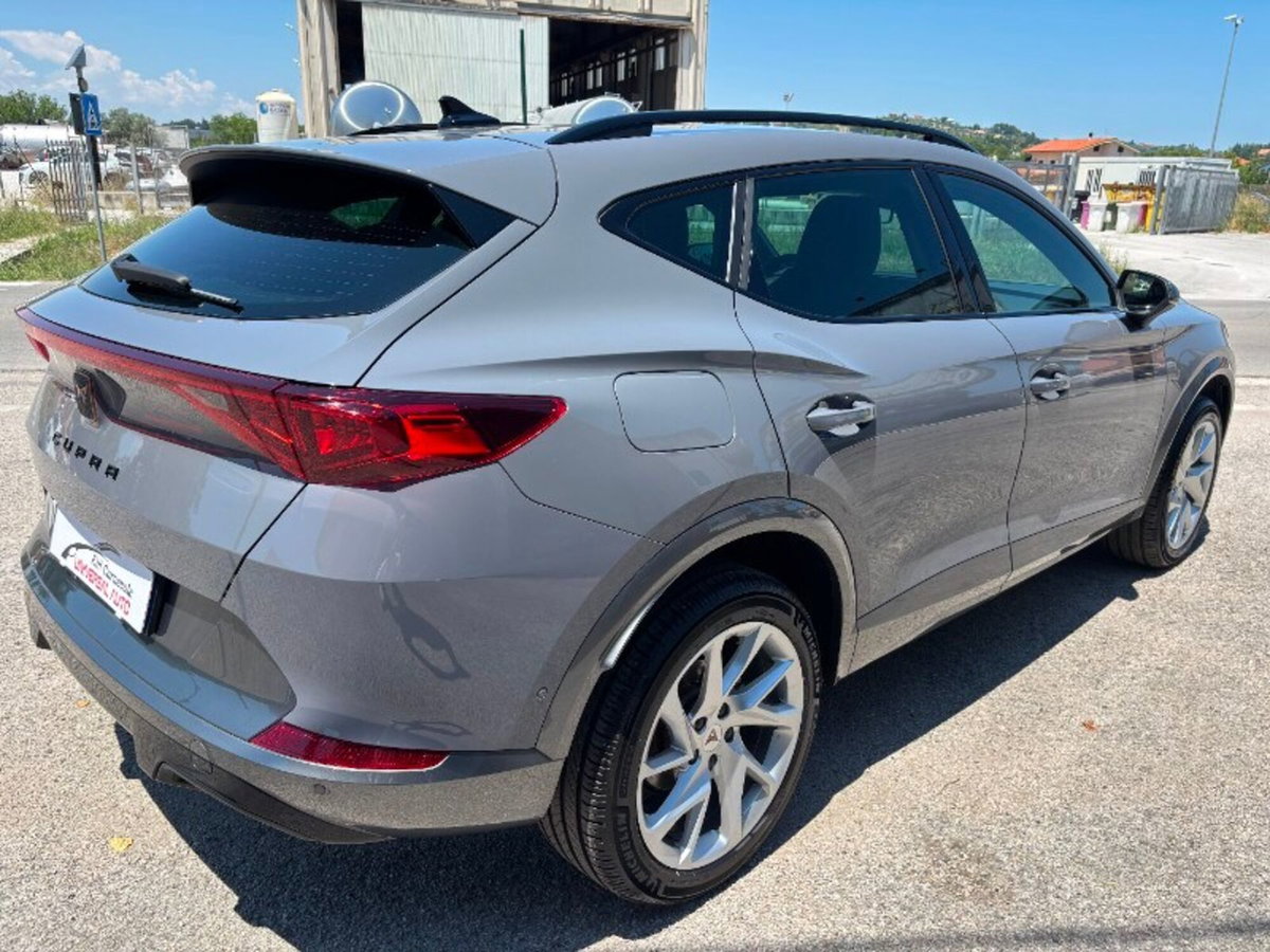 Cupra Formentor Formentor 2.0 tdi 4drive 150cv dsg (5)