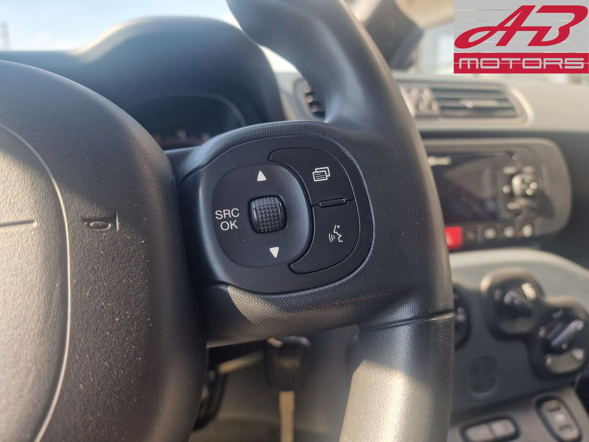 Fiat Panda 0.9 TwinAir Turbo S&S 4x4 (18)