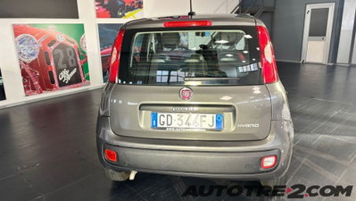 Fiat Panda 1.0 FireFly S&S Hybrid Easy (5)