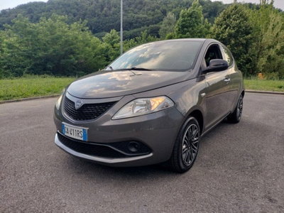 Lancia Ypsilon 1.2 69 CV 5 porte Silver (3)