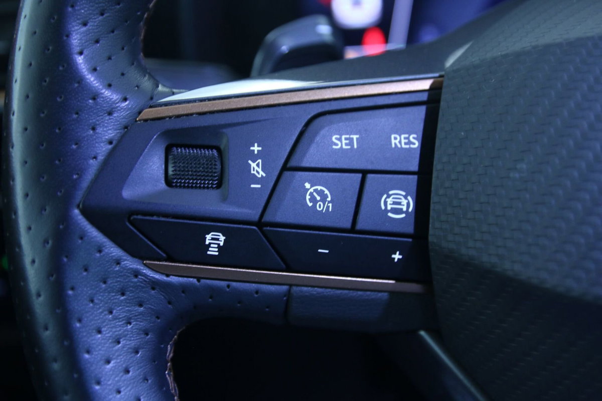 Cupra Formentor Formentor 1.4 e-Hybrid DSG (18)