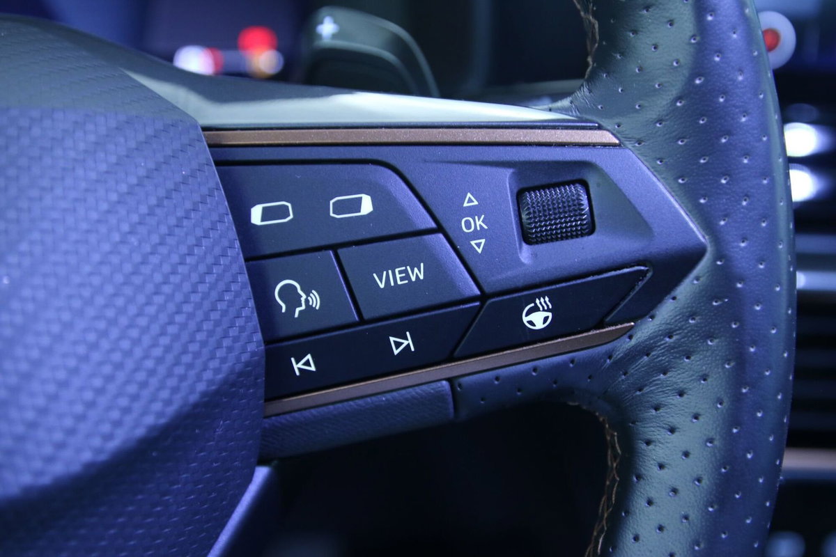 Cupra Formentor Formentor 1.4 e-Hybrid DSG (19)