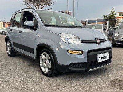 Fiat Panda 1.0 FireFly S&S Hybrid City Cross (2)