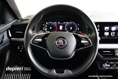 Skoda Kamiq 1.0 tsi Selection 115cv dsg (11)