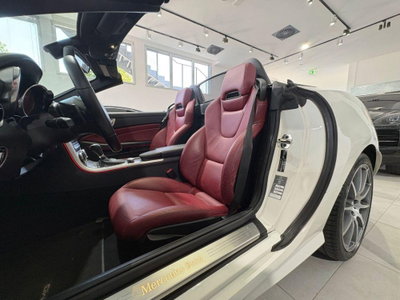 Mercedes-Benz SLK 250 CDI BlueEFFICIENCY Premium (12)