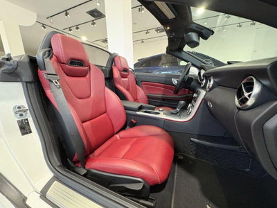 Mercedes-Benz SLK 250 CDI BlueEFFICIENCY Premium (14)