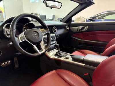 Mercedes-Benz SLK 250 CDI BlueEFFICIENCY Premium (15)