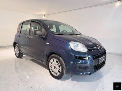 Fiat Panda 1.2 Easy usata