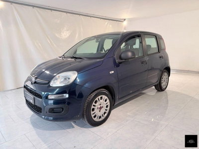 Fiat Panda 1.2 Easy (2)