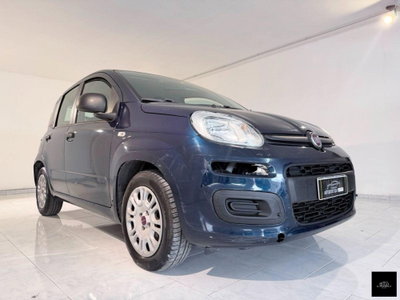Fiat Panda 1.2 Easy (3)